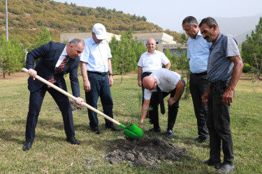 27 sentyabr - Anım Günü ilə əlaqədar Şəkidə ağacəkmə aksiyası təşkil olunub