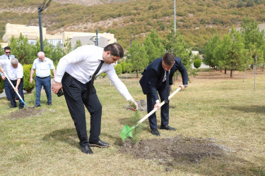 27 sentyabr - Anım Günü ilə əlaqədar Şəkidə ağacəkmə aksiyası təşkil olunub