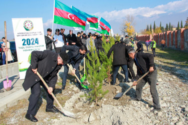 Şəkidə Yeni Azərbaycan Partiyasının təsis edilməsinin 32-ci ildönümü münasibətilə ağacəkmə aksiyası keçirilib