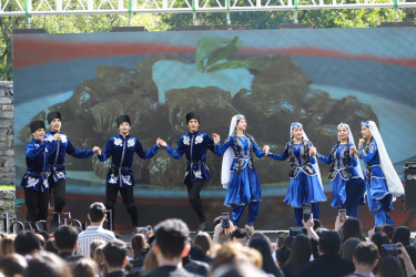 Şəki “Terra Madre” qastronomiya festivalına ev sahibliyi edib