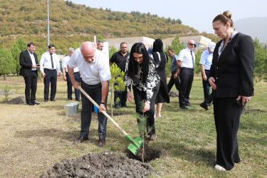 27 sentyabr - Anım Günü ilə əlaqədar Şəkidə ağacəkmə aksiyası təşkil olunub