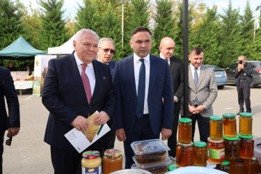 Şəkidə Aqrar Biznes Festivalı keçirilib