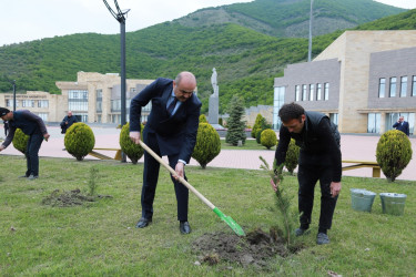 “Konstitusiya və Suverenlik İli” çərçivəsində Şəkidə Ulu Öndər Heydər Əliyevin anadan olmasının 102-ci ildönümünə həsr olunmuş ağacəkmə aksiyası təşkil olunub